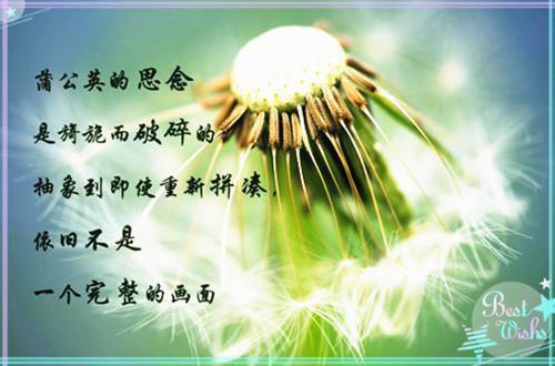 江厉野秦茉沈暖小说最新章节 江厉野秦茉沈暖免费阅读