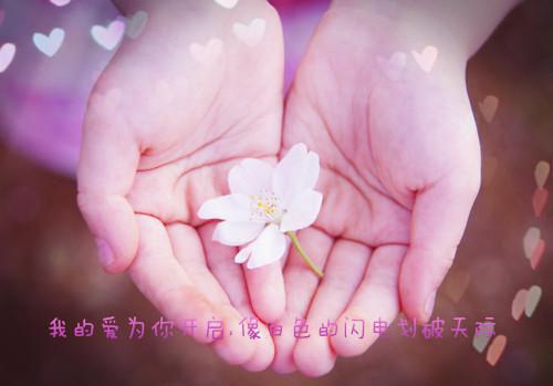 沐之晴厉铮辞小说最后结局 沐之晴厉铮辞完结版免费阅读