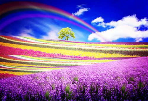 白夜艾斯德斯小说 白夜艾斯德斯完整版免费阅读