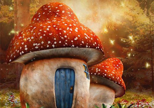 主角名是陈天赐陈琳琳全文免费阅读正版