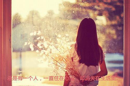 骆雯清张贤文小说最新章节 骆雯清张贤文免费阅读