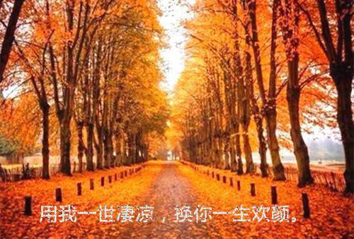 主角是邵文安林威的小说免费阅读全文大结局