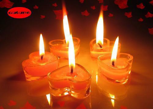 晏时雨沈前川徐甜甜是什么书 晏时雨沈前川徐甜甜免费章节在线阅读