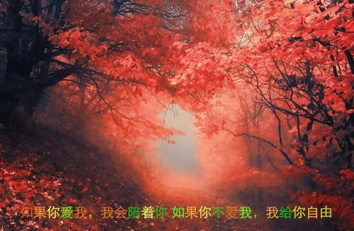 苏青柚谢淮瑾江舒意小说章节目录 苏青柚谢淮瑾江舒意免费阅读第5章