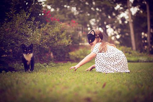 沈珂鹿小葵小说全文阅读 沈珂鹿小葵第一章