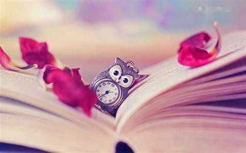 乔伊宋清雅陆闻舟宋宴辰小说章节免费阅读 乔伊宋清雅陆闻舟宋宴辰无弹窗