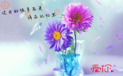 愚昧代价结局在线阅读 邓澜邓波未删节阅读