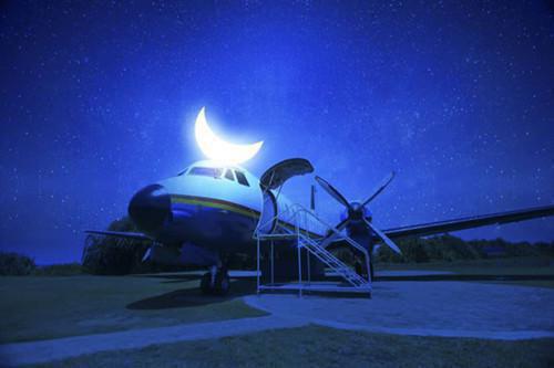 林杉禾宋茗（林杉禾宋茗）最新章节在线阅读-林杉禾宋茗小说林杉禾宋茗在哪里可以看