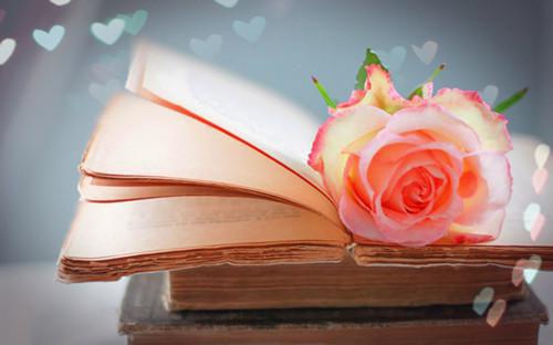 林栀傅晏初是什么小说 林栀傅晏初全本免费阅读