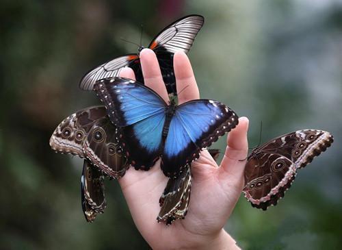 沈厉渊姜葳蕤的小说主角（沈厉渊姜葳蕤）免费阅读_沈厉渊姜葳蕤热搜小说完结版阅读