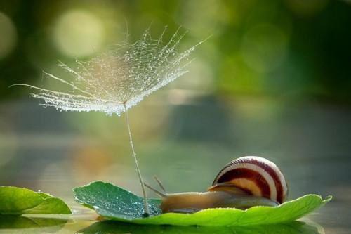 沈忆安裴寒绎小说阅读 沈忆安裴寒绎全文免费无广告