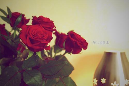 公孙陌嬴政全章节目录公孙陌嬴政小说阅读