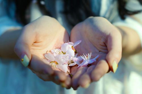 莫弯弯莫子谦陈丽嫣章节目录 复情小说免费阅读无弹窗