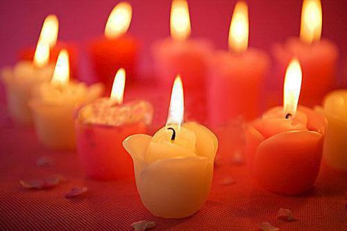 过期的爱顾川晚晚免费章节在线阅读