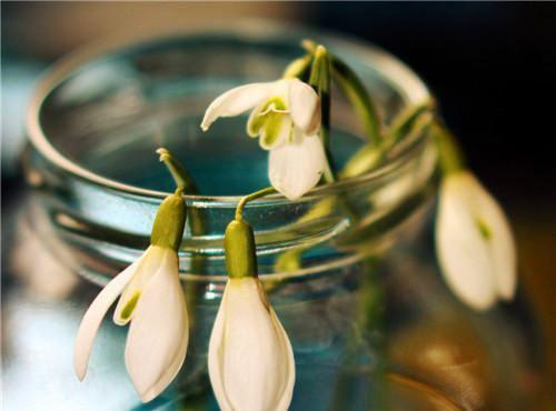 宫锁娇：皇上日日求我回头(施越)小说最新章节