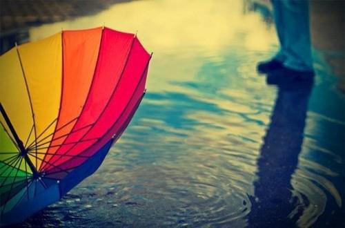 魏来秋博远扶元槐大结局是什么 青梅竹马的未婚夫爱了我十年，订婚宴前夕他却告诉我小说全文阅读