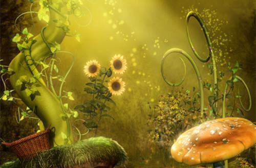 (最新)云舒沅穆瑾宸小说完整版免费阅读