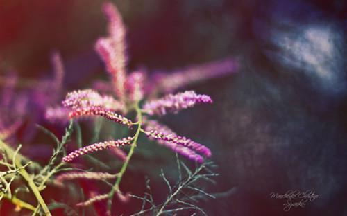 宋惜月贺兰隽小说最新章节试读_宋惜月贺兰隽是(宋惜月贺兰隽)小说主角热门推荐