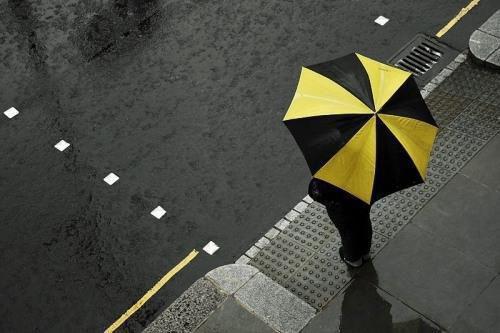 宁汐纪司焰小说完整版阅读-（宁汐纪司焰）小说全文免费阅读