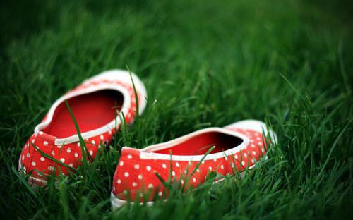 靳司誉小说名字 我穿成了乙女游戏的路人甲章节试读