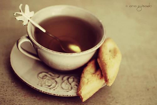 秦雨摇贺枫小说（秦雨摇贺枫）全文免费阅读-秦雨摇贺枫全文阅读无弹窗