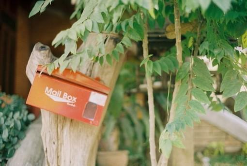 季霆安白月光小说全文 季霆安白月光小说免费阅读大结局