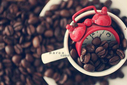 林天迟苏素颜向华小说免费 林天迟苏素颜向华第二章在线阅读