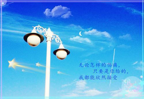 陆瑶瑶宋凛萧言免费全本小说 陆瑶瑶宋凛萧言章节目录