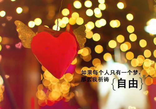 江月澜沈时烬小说全文阅读 江月澜沈时烬第1章