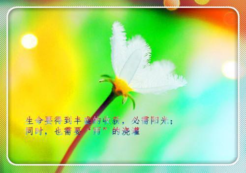 桑真真霍司洲小说章节目录 桑真真霍司洲免费阅读第2章