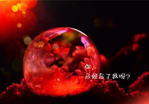 君似磐石妾如柳最新章节 萧战天李淡月柳雪薇在线阅读