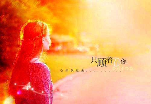 褚清思孟衡渊免费小说 褚清思孟衡渊在线阅读