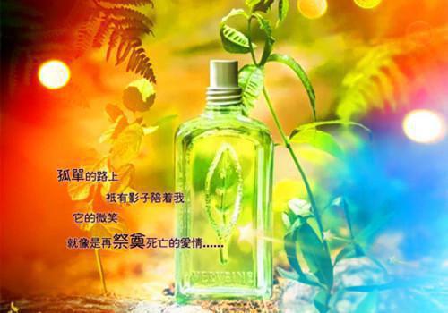 邱凯何叶是什么小说 婆婆胸部二次发育请财神爷关照