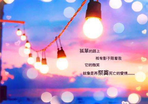 惟愿首发小说 周隼林诗雨在线阅读