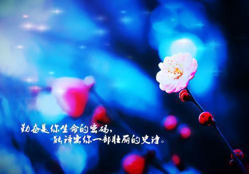 妻子拿我妈的救命钱给白月光买房宋凛沈晚晚傅言免费章节试读