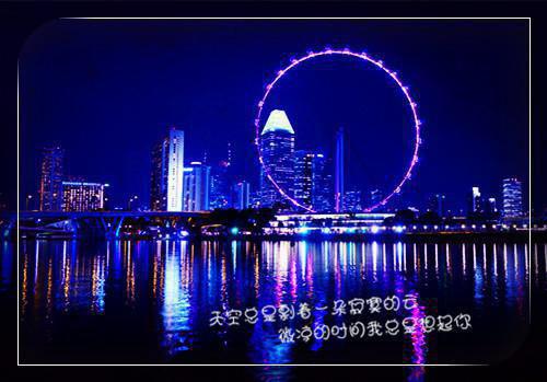 (最新)江林唐月小说完整版免费阅读