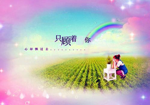 亚兰路伊是哪部小说的主角 亚兰路伊全文阅读