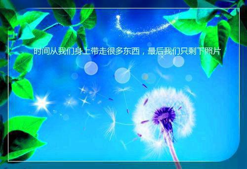 却道秋风悲画扇在线免费阅读 张锦瑶薛庭堔李凝烟无删减小说