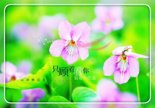 （容洲闻冬禧抖音小说）闻冬禧容洲小说全文阅读免费（结局）+（免费）