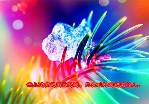 曲听寒李玄曲云霆小说全免读 曲听寒李玄曲云霆第4章在线阅读