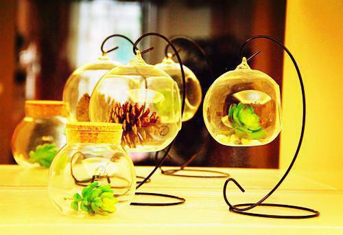 隋祁谢宴知：谢宴知隋祁全文免费阅读无弹窗大结局_（隋祁谢宴知）谢宴知隋祁最新章节列表