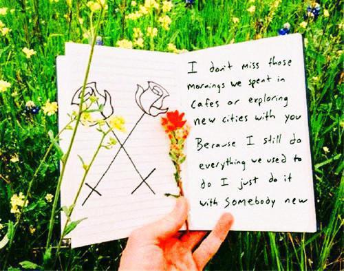 《江轩易屿安小说》无弹窗全文免费阅读