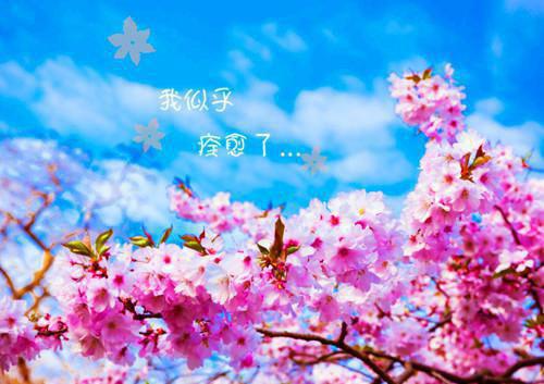 魏家高免费完结版 婆婆戳套求孙后，精英儿爆改大甜妹魏家高小说阅读