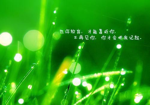 陆瑶思思沈时安完整未删减版在线阅读 陆瑶思思沈时安结局