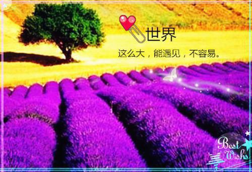 李静怡李鑫宇小说名 病态家庭爱写作的小六在线阅读