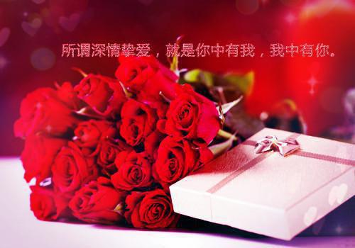 不爱他后，我活成了自己爱的模样傅言陆晚晚周然小说(完整)免费阅读