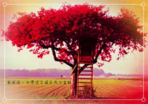 一品女相无弹窗阅读 崔静季子慎小说