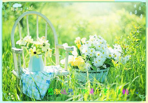 顾开霁程景小说叫什么 顾开霁程景小说全文免费阅读