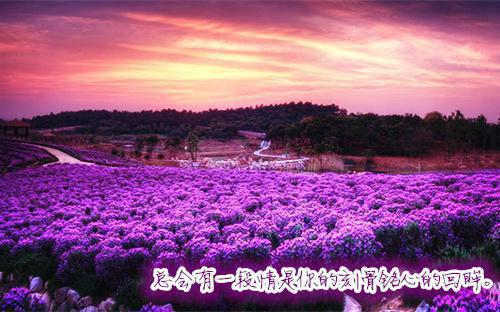 真千金回来后杀疯了小说全文 (姜易欢江柔易方同)无弹窗广告阅读