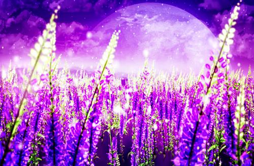 沈莹徐廷州全文免费 沈莹徐廷州在线阅读